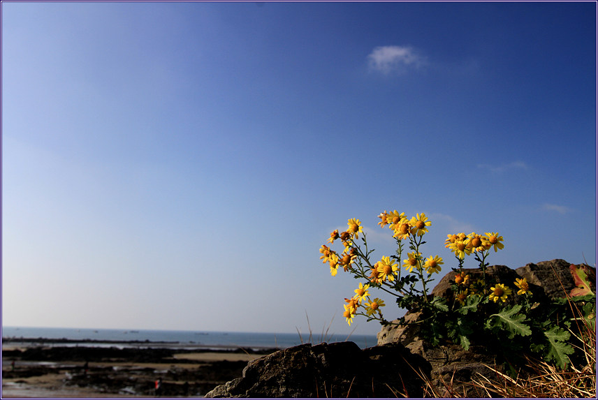 2011-10-29 179.jpg
