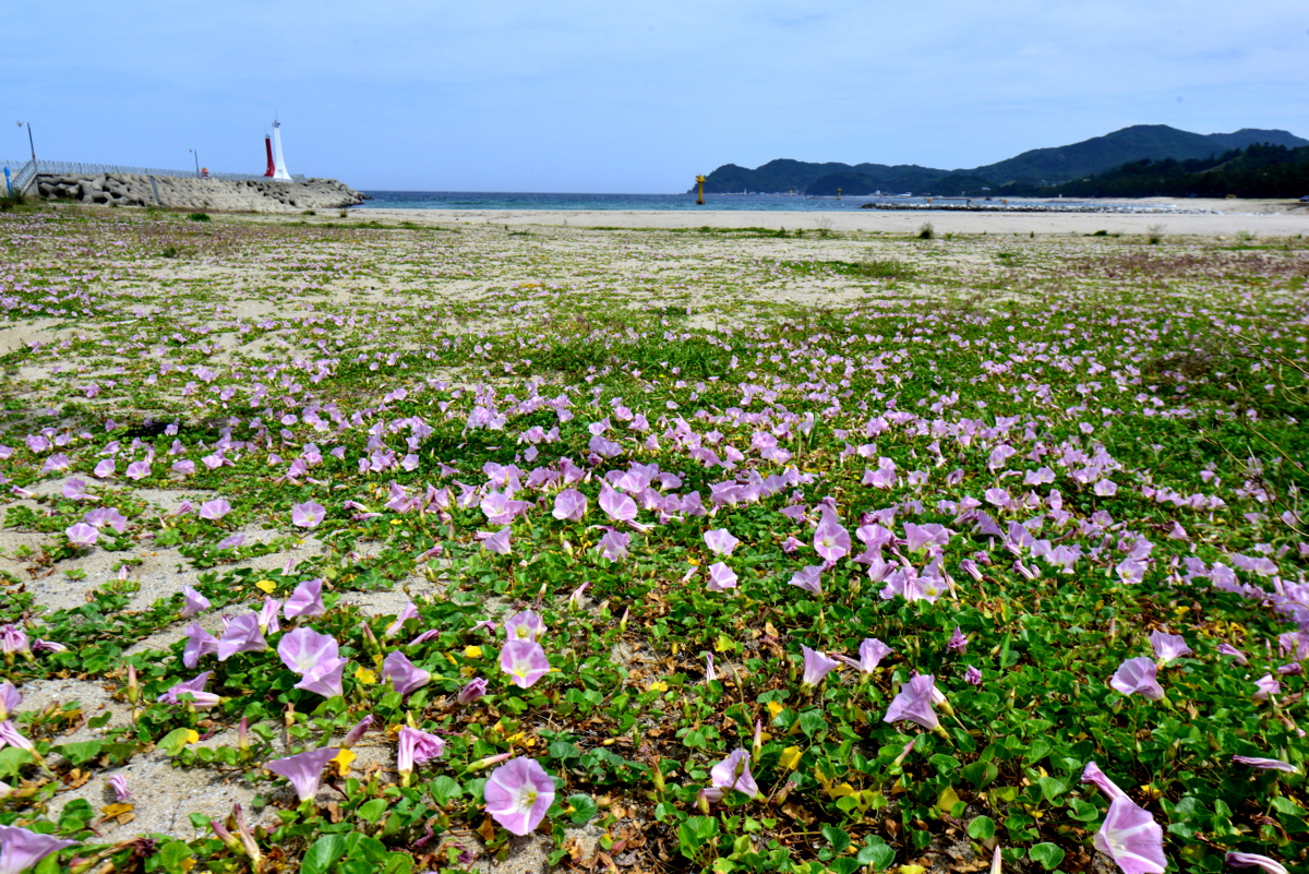 DSC_0319.JPG