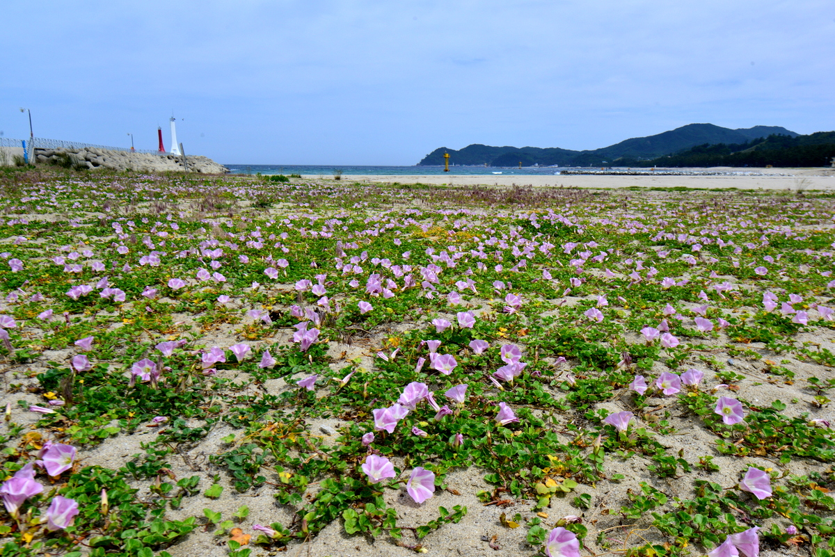 DSC_0321.JPG