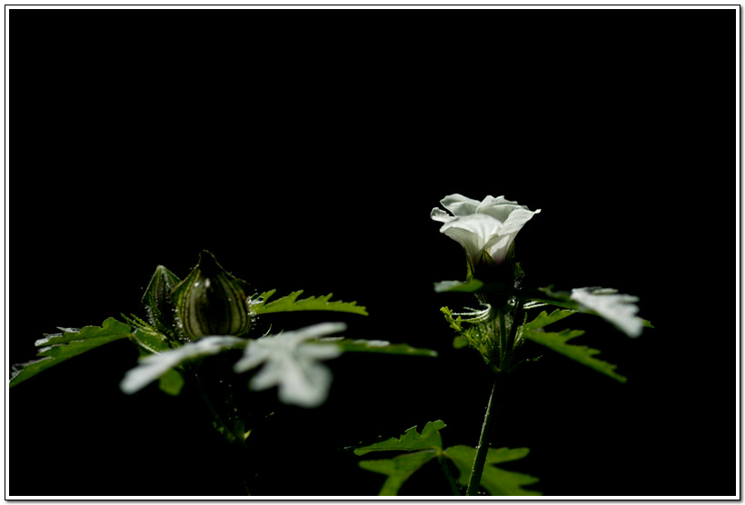 DSC_0063.jpg