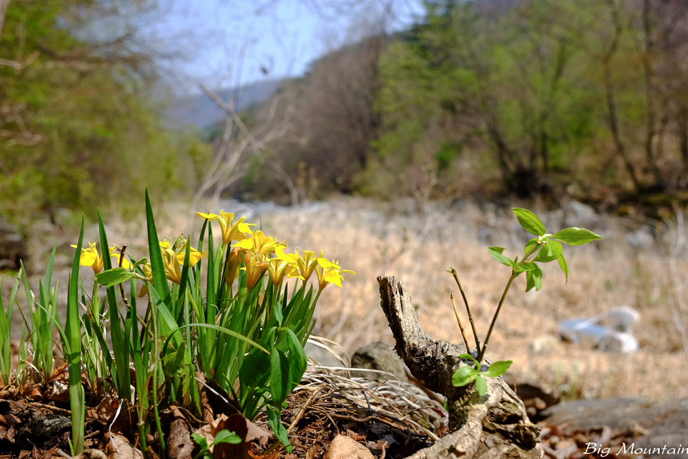 DSCF1646.jpg