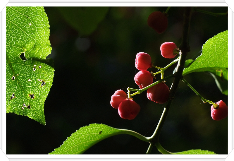 DSCF5836.JPG