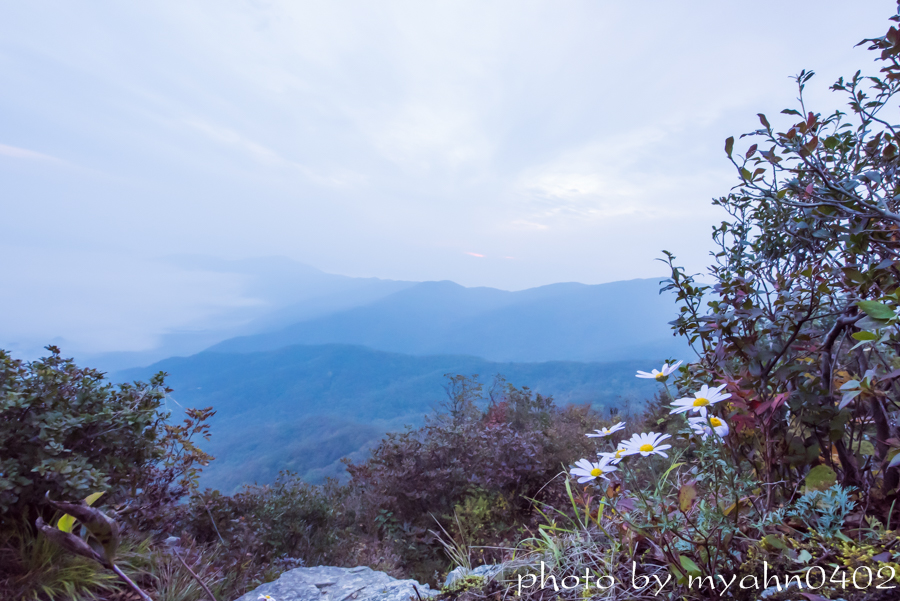 DSC_2577.jpg
