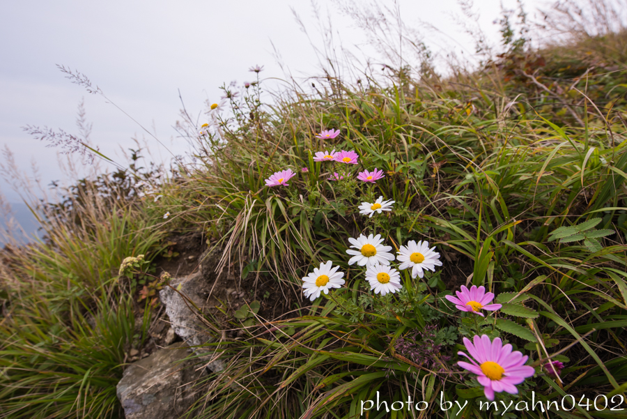 DSC_2682.jpg