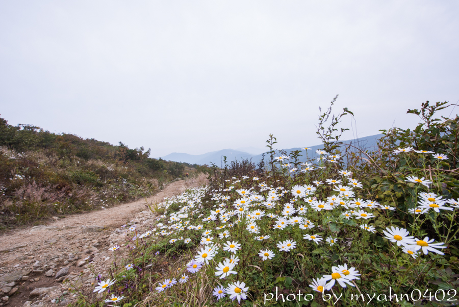 DSC_2714.jpg