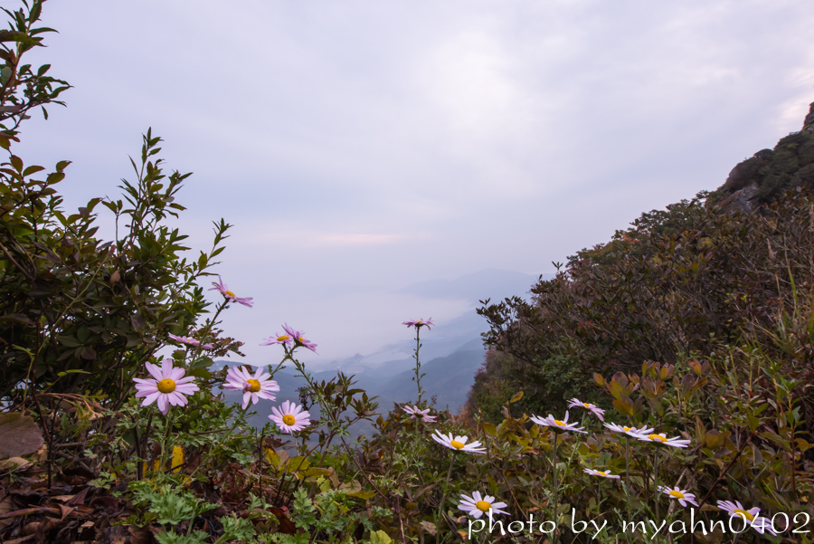 DSC_2613.jpg