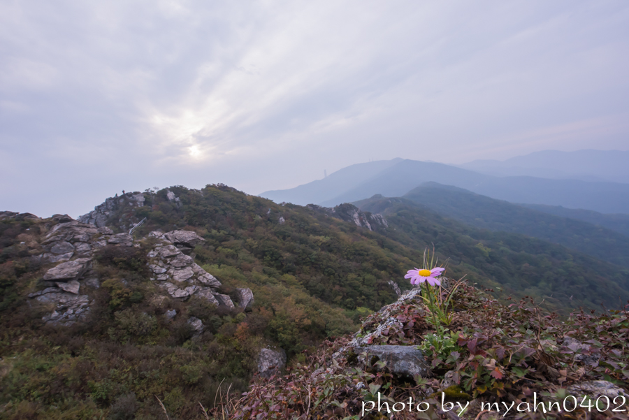 DSC_2619.jpg