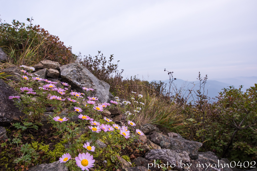 DSC_2644.jpg