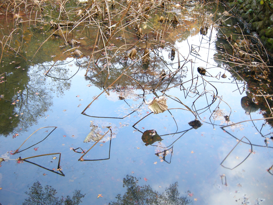 DSCN3688.jpg