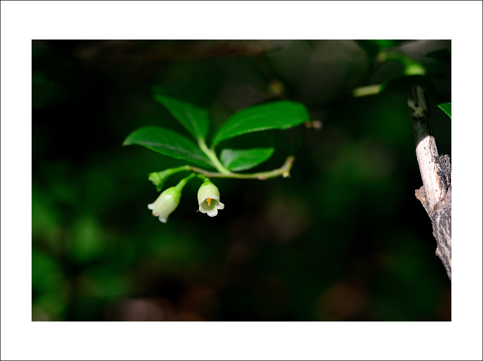 DSC_4886.jpg