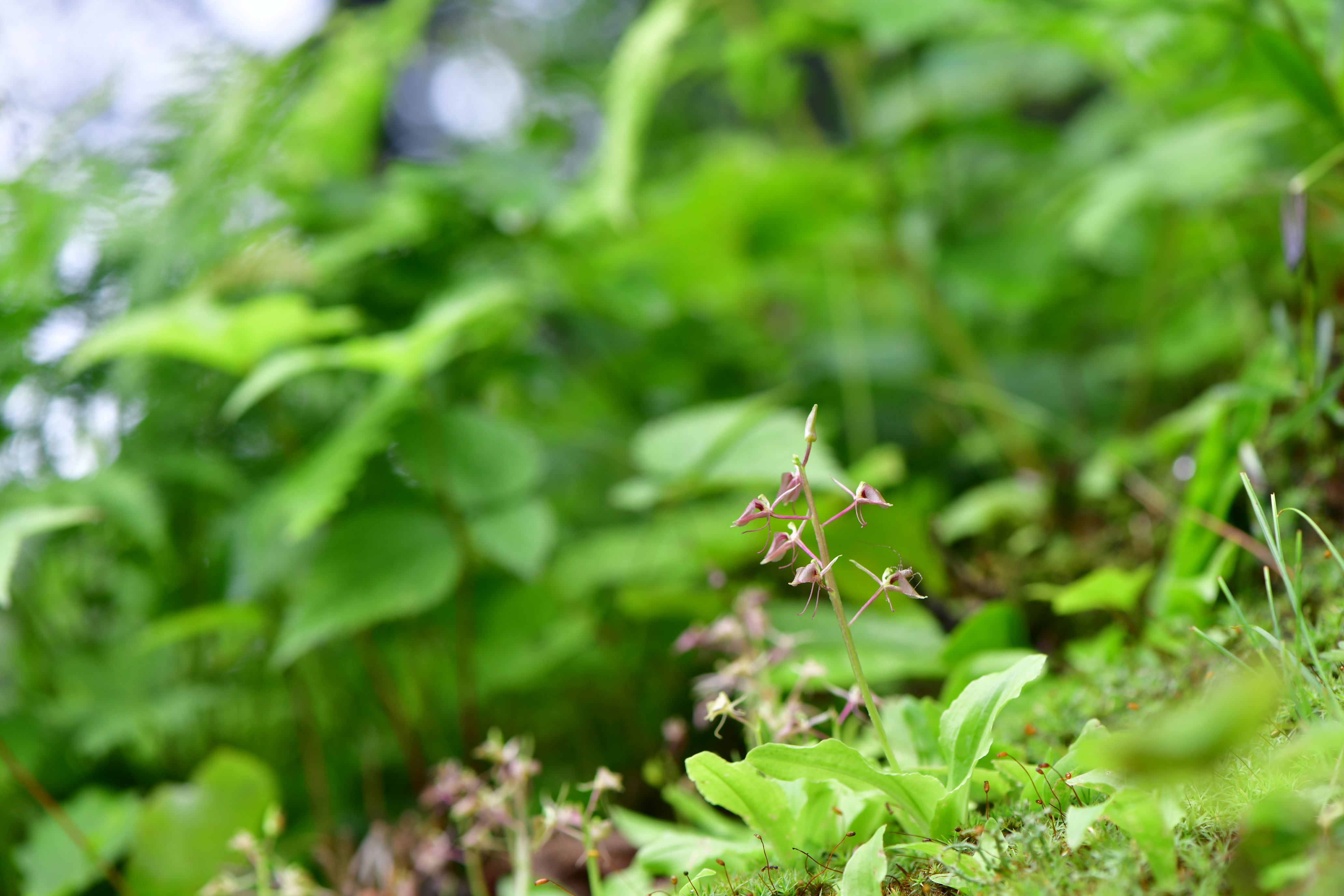 DSC_2103.JPG