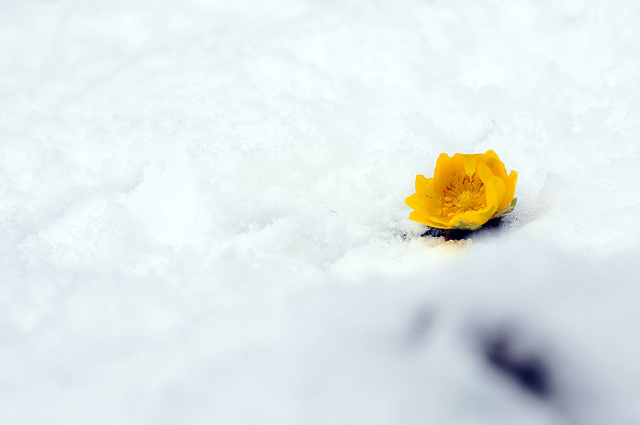 20120219_0006-1.jpg