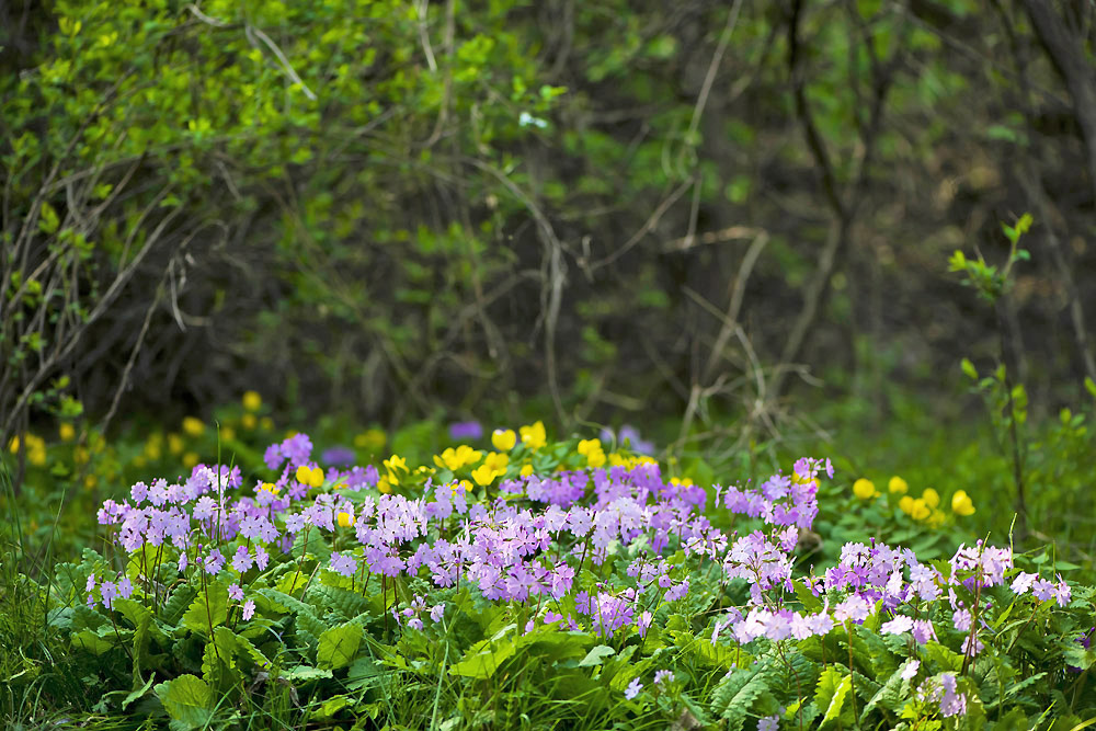 20140420_0113a-1.jpg