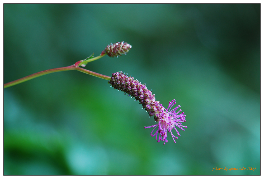 DSC_8444.jpg