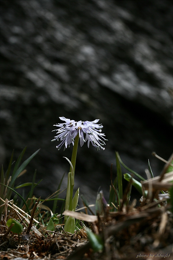 QH3S4894.jpg