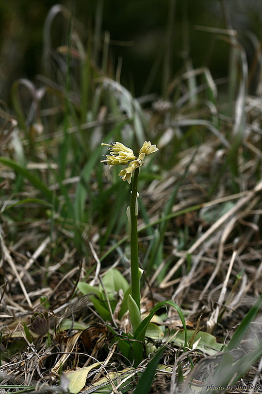 QH3S4797.jpg