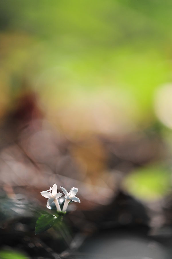 20120616_0205-1.jpg