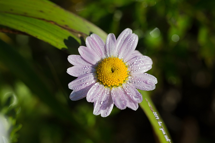 20190929-P39A0449.jpg