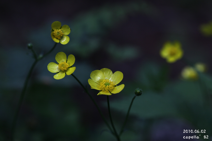0602-4-1.JPG