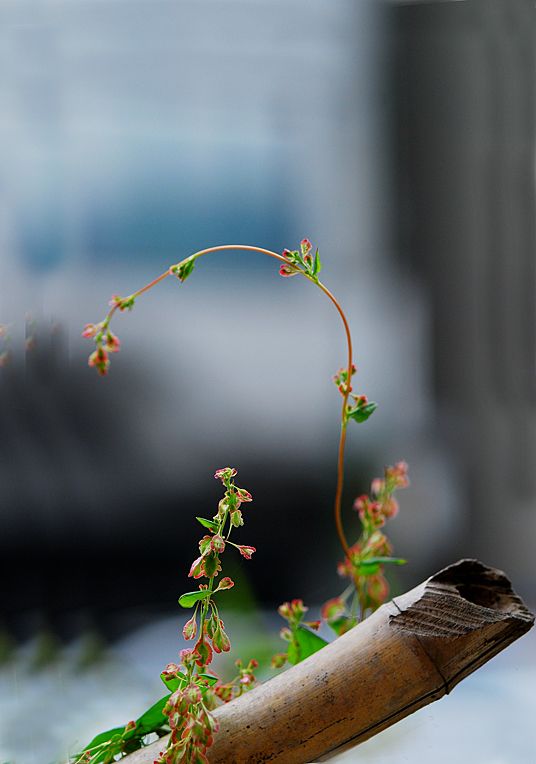 DSC_0859-1.jpg