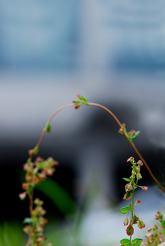DSC_0855-1.jpg