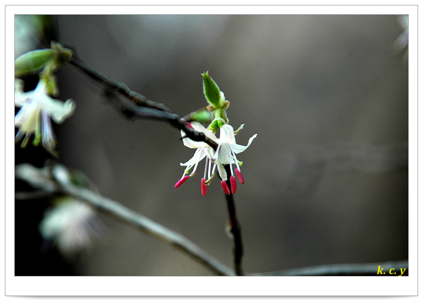 DSC_6762.jpg
