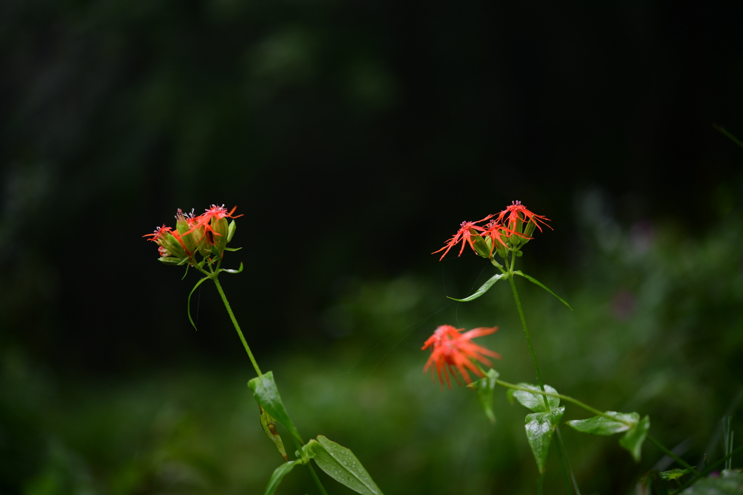 크기변환_DSC_7636.JPG