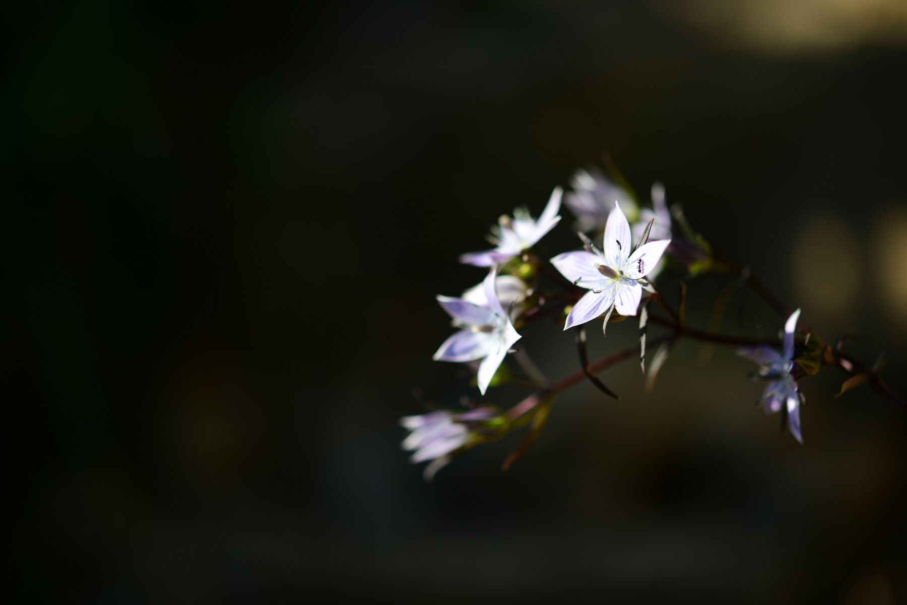 크기변환_DSC_4085.JPG
