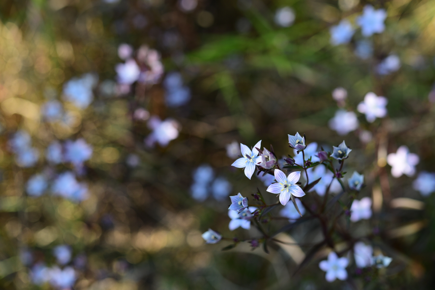 크기변환_DSC_4334.JPG