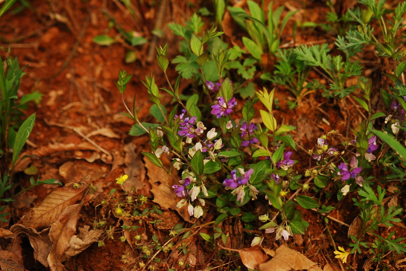 크기변환_DSC_0243.JPG