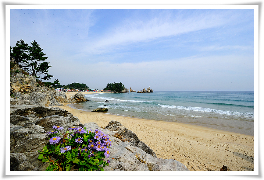 DSC_8215-1.jpg