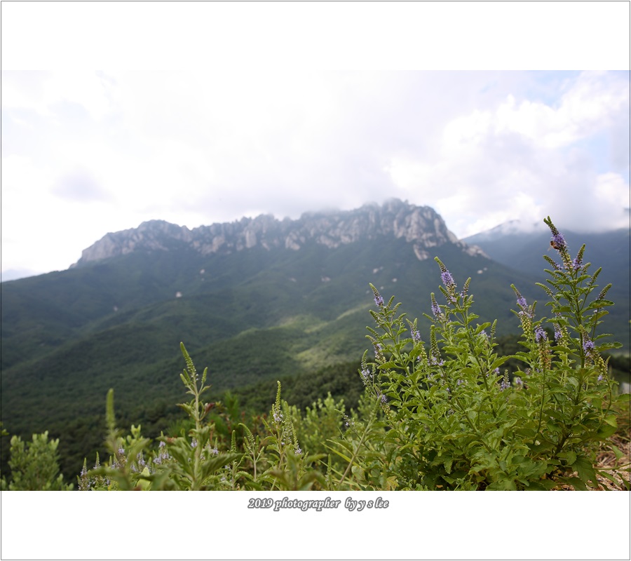 P39A7913.JPG