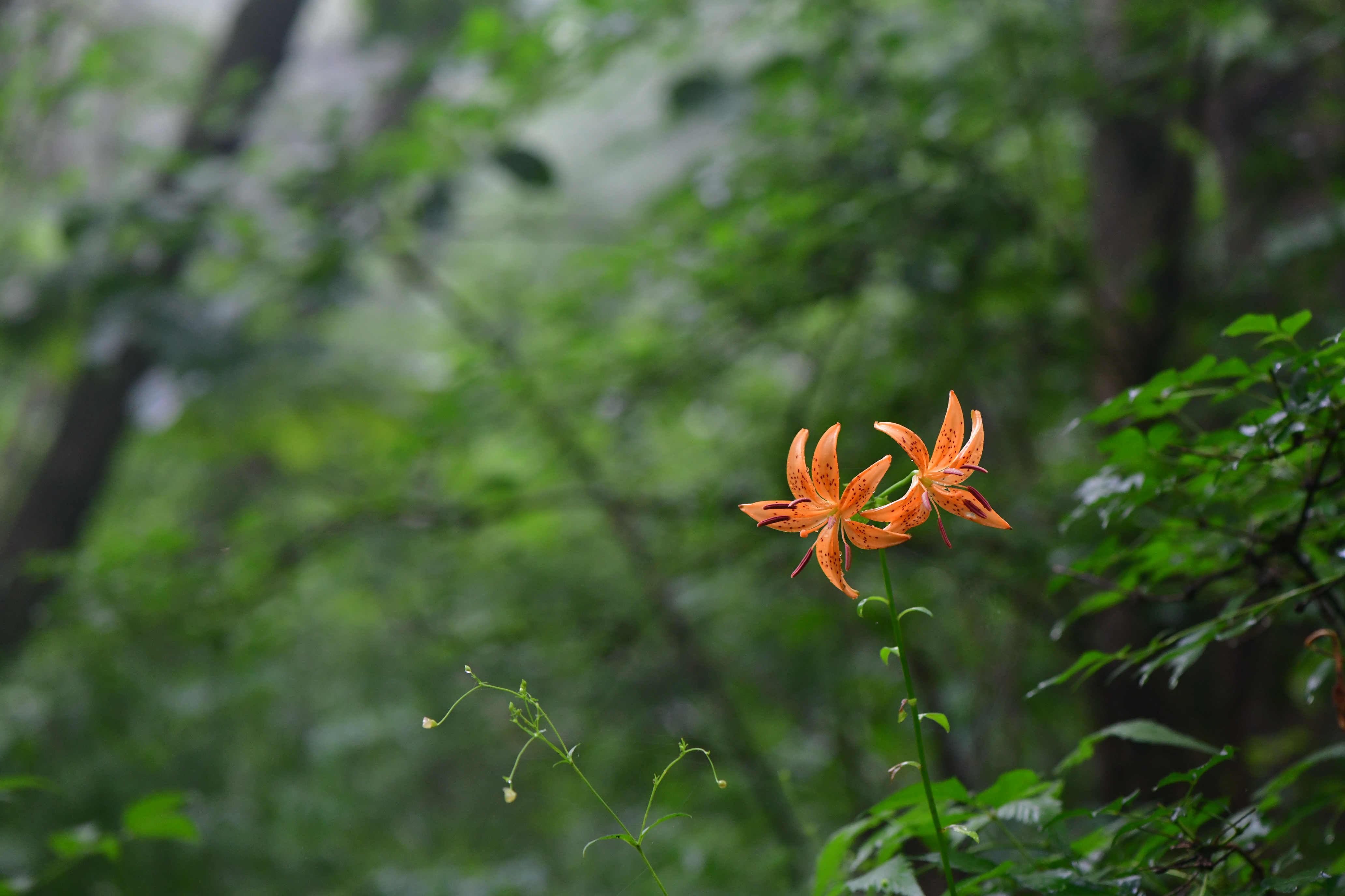 DSC_3818.JPG