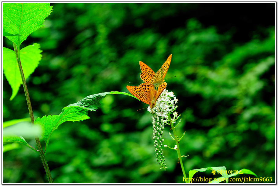 DSC_3584.jpg