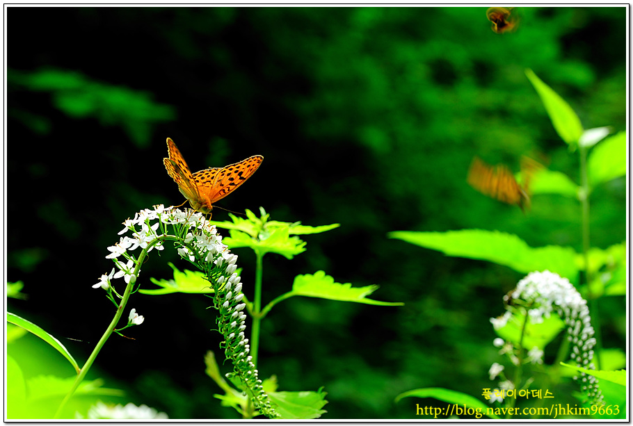 DSC_3616.jpg
