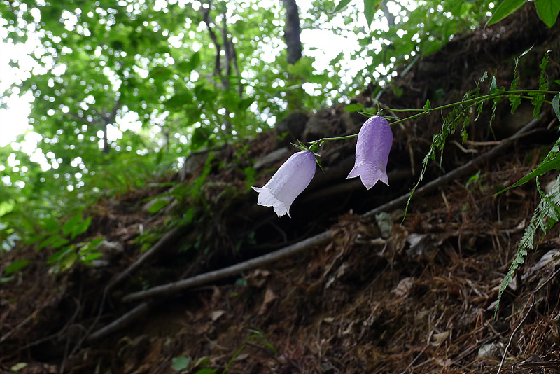 20120827-L1020754.jpg