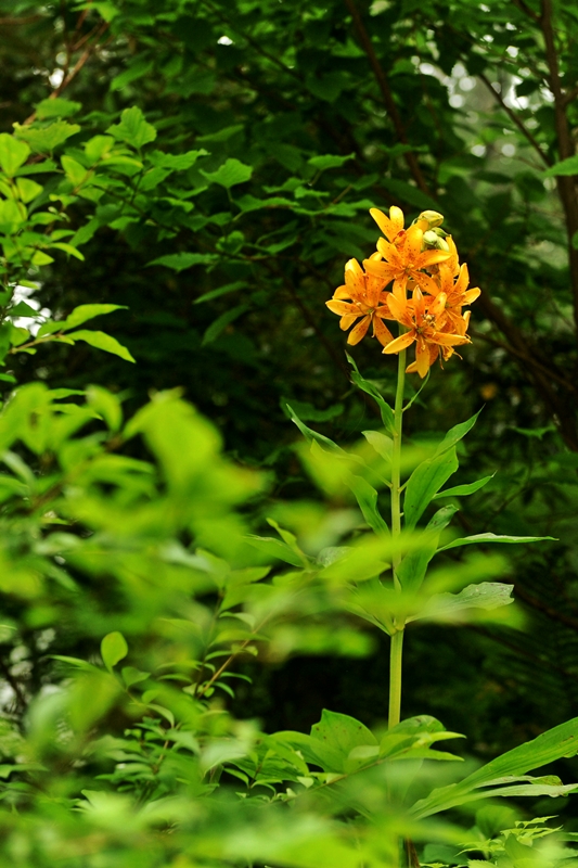 DSC_9277.JPG
