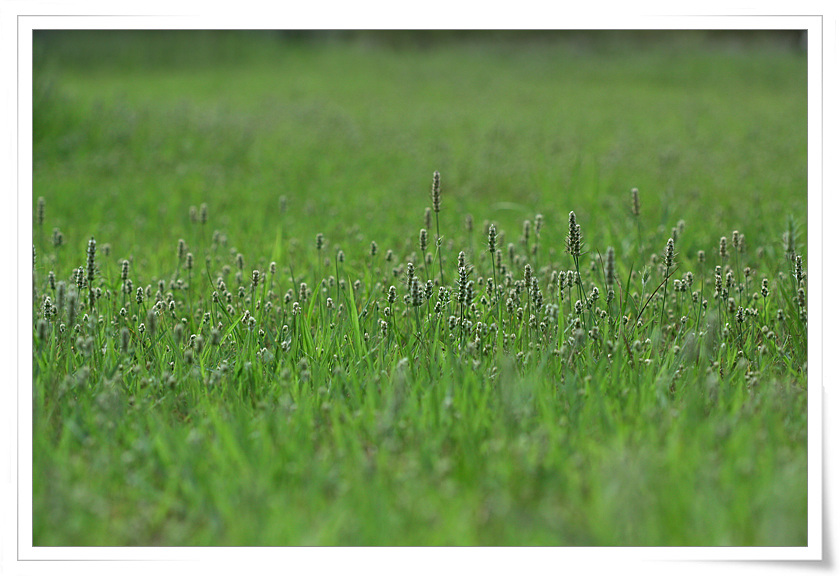 g0734.jpg