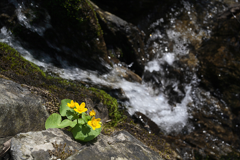 IMG_6979.jpg