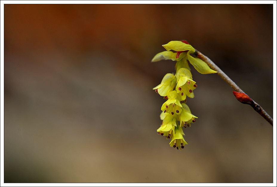 DSC_022520110410_5352.jpg