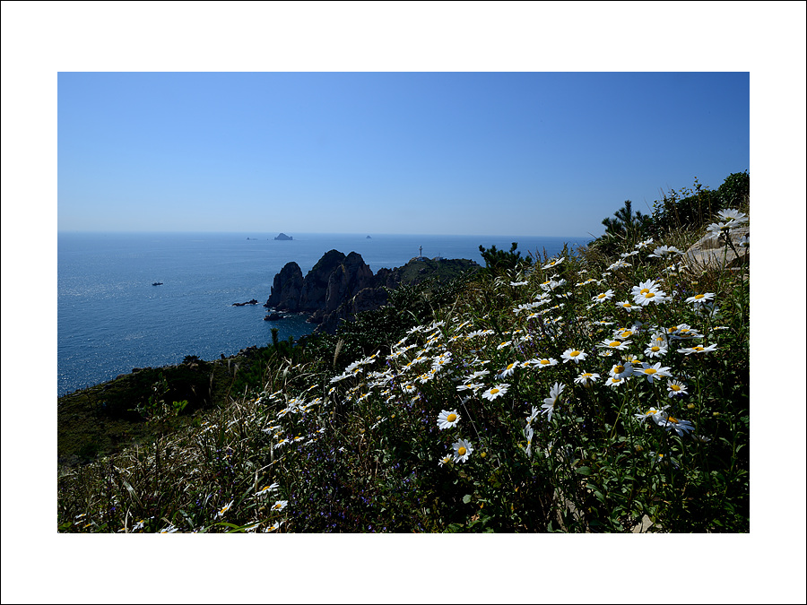 DSC_4943.jpg