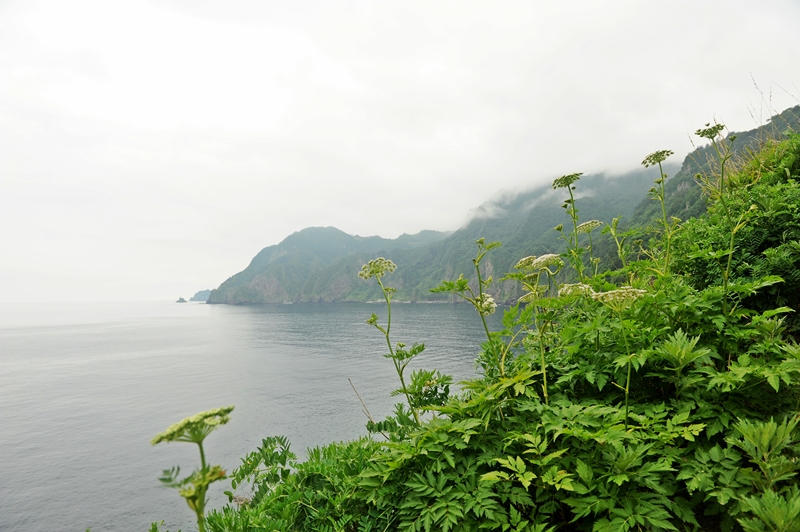 DSC_9217.JPG