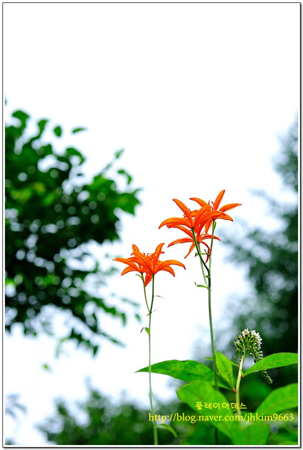 DSC_3572.jpg
