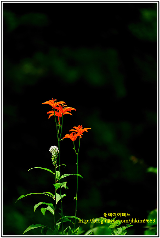 DSC_3566.jpg