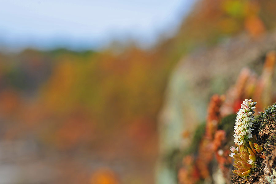 20111021_0061-1.jpg