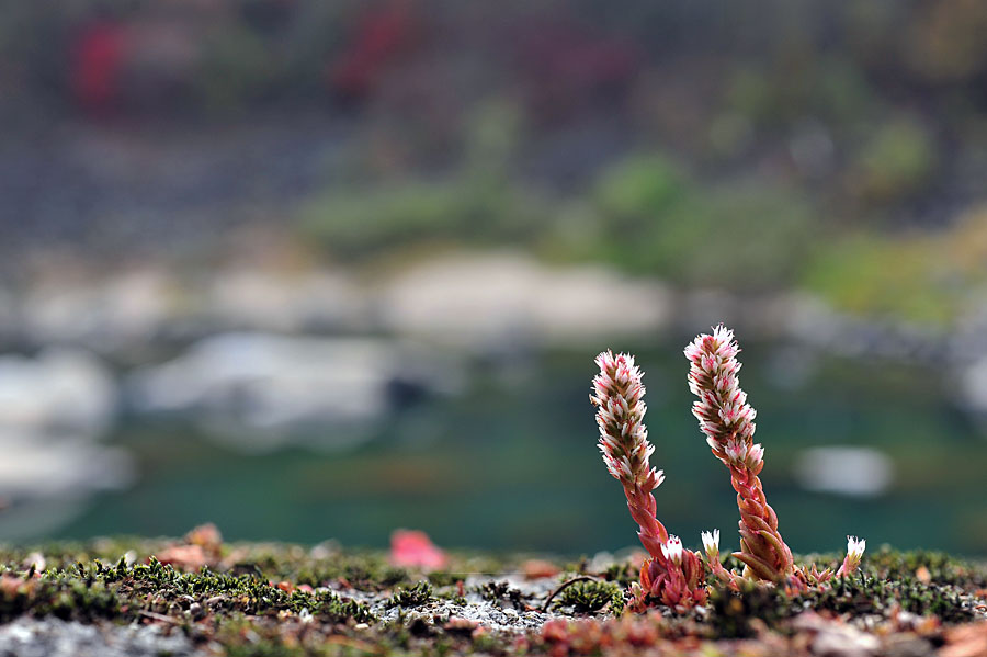 20111021_0006-1.jpg