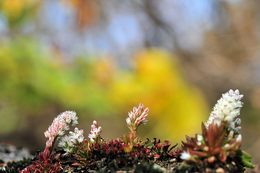 20111021_0058-1.jpg