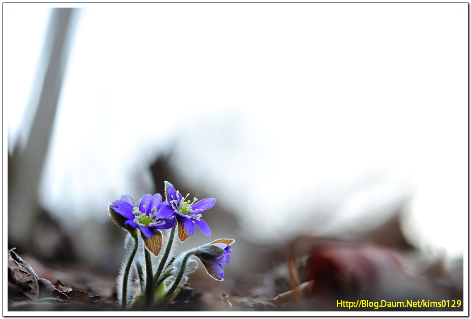 130309 346.jpg