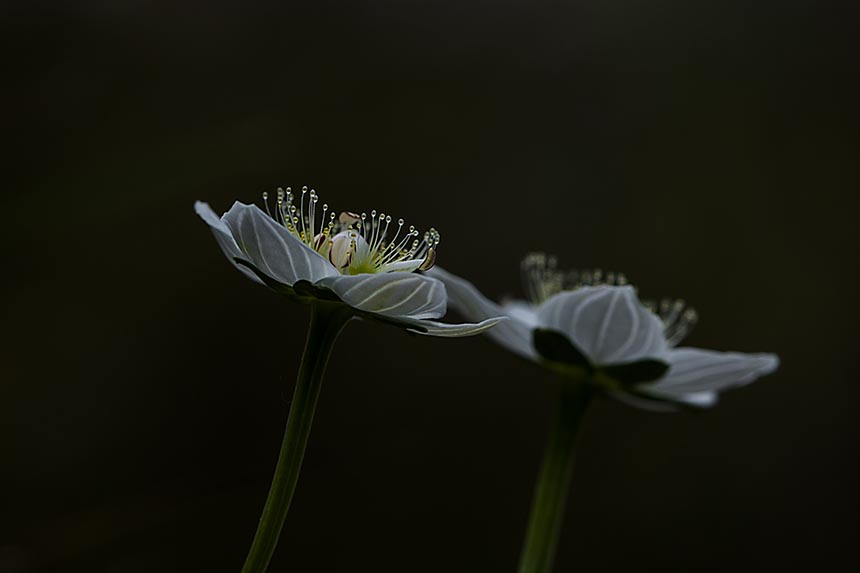 _78W3089.jpg