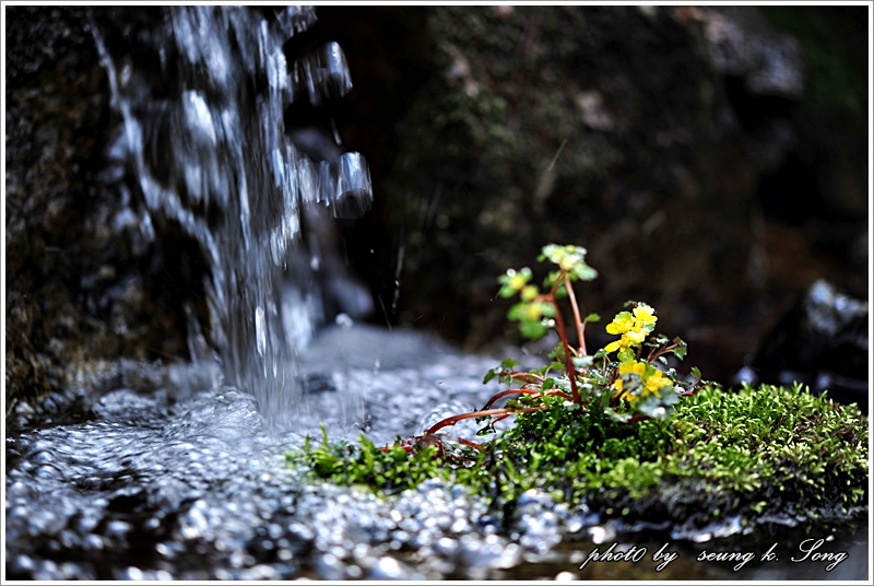 DSC_2401.jpg